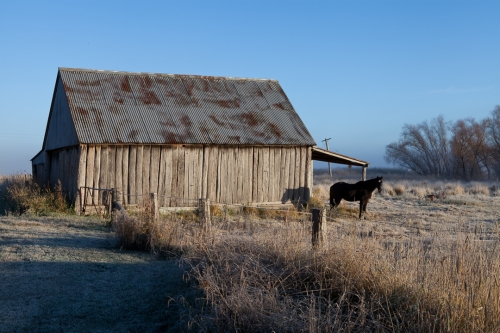 Old Shed